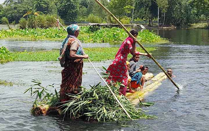 স্রোত-কচুরিপানার চাপে ভাঙল বাঁশের সাঁকো, জনদুর্ভোগ চরমে